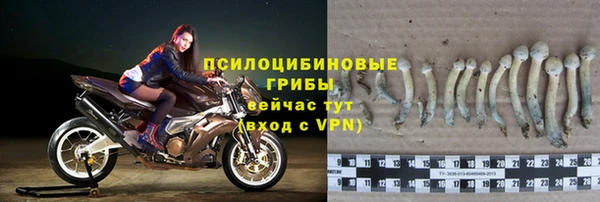 крисы Вязники